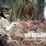 Big Merino (AUS)